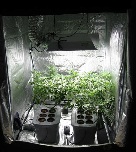 Explore our huge selection today! 600W MH/HPS Cannabis Grow Setup & Tutorial | Grow Weed Easy