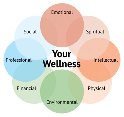Your Wellness Wheel Why Balance Is Key To A Healthy Lifestyle