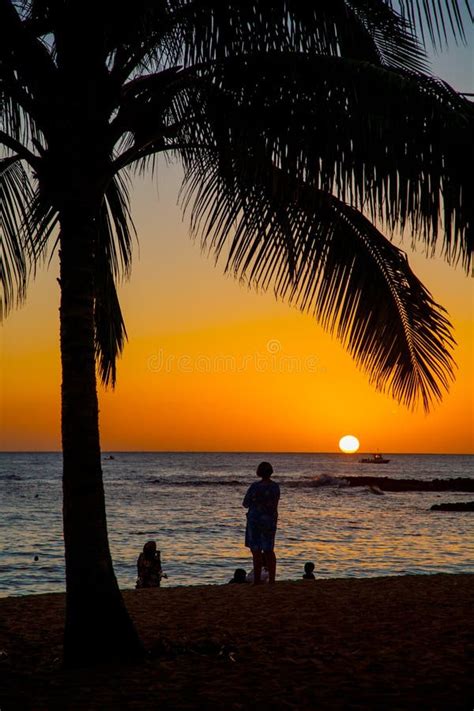Sunset Scene At Tropical Beach Resort Stock Photo Image Of Caribbean