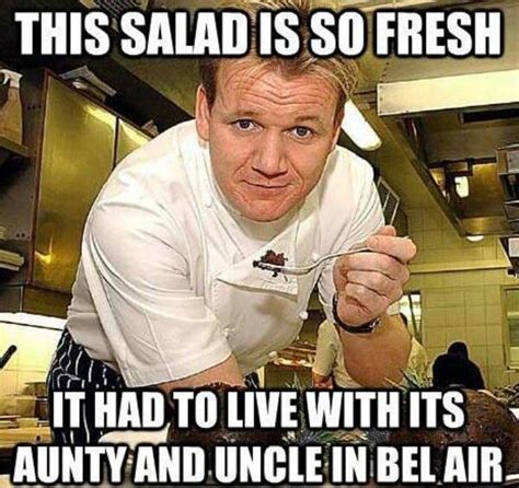 33 gordon ramsay memes that are so bad we called the police