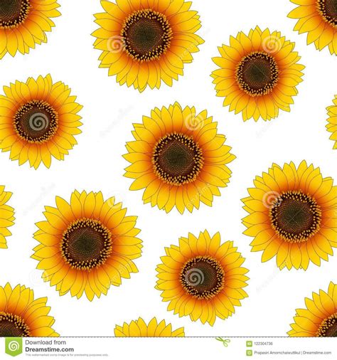 Orange Yellow Sunflower Seamless On White Background Vector
