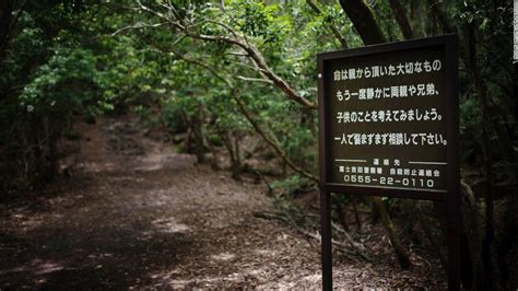 Inside Japans ‘suicide Forest Trending News
