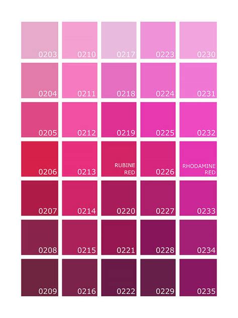 Pantone Hot Pink Printable Pink Pantone Poster Home Office Etsy The