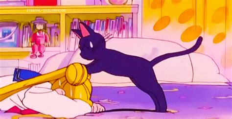 21 Unrealistic Expectations We Have About Cats Because Of Sailor Moon