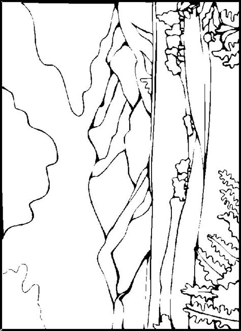 We did not find results for: Mountain Landscape Coloring Pages at GetColorings.com ...