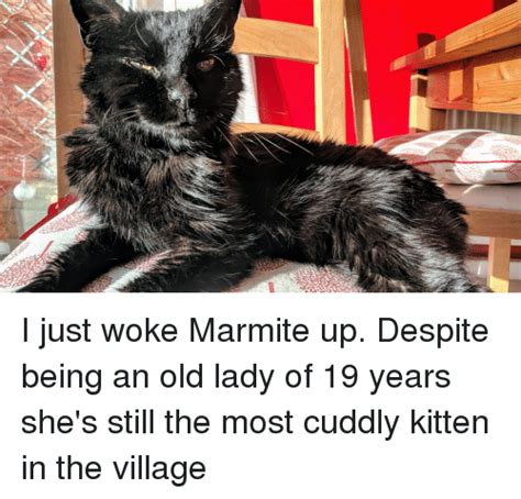 I Just Woke Marmite Up Despite Being An Old Lady Of 19 Years Shes