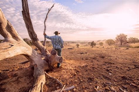Droughts In Australia Causes Patterns And Impacts