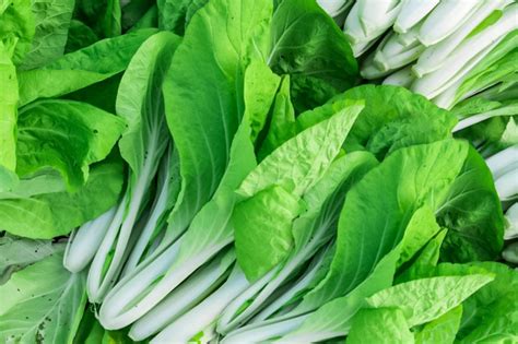 How To Grow Bok Choy