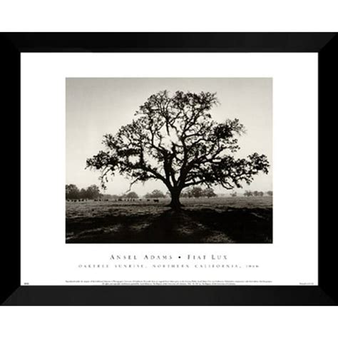 Ansel Adams Framed Art Print 24x30 Oak Tree Sunrise