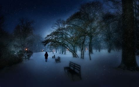 壁纸 1920x1200像素 长凳 蓝色 冷 晚间 景观 灯光 性质 公园 灌木 雪 树木 步行 冬季