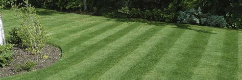 10 Lawn Mowing Tips For A Professional Finish