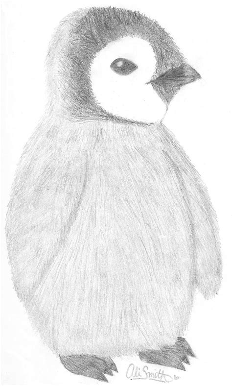 Baby Penguin By Ali Ann On Deviantart