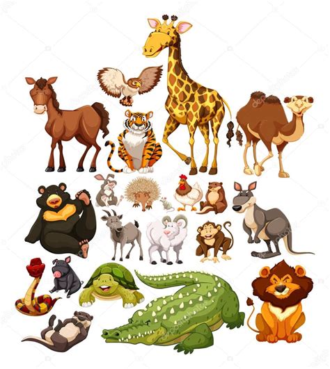 Different Type Of Wild Animals — Stock Vector © Blueringmedia 83404210