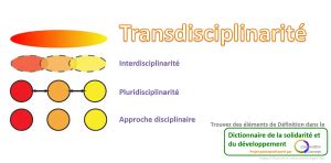 Transdisciplinarit Cooperation Concept