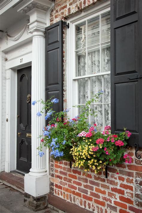 See french window stock video clips. French Quarter Flower Box, Charleston, SC © Doug Hickok ...