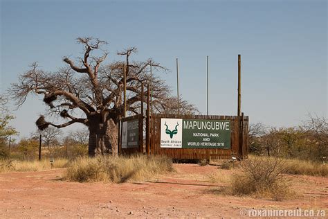 Mapungubwe National Park Everything You Need To Know Roxanne Reid