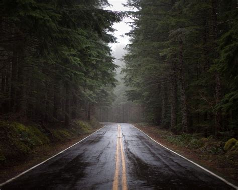 Free Download Rainy Forest Road Wallpaper Mixhd Wallpapers