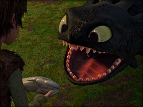 Toothless How To Train Your Dragon Wallpaper 33059198 Fanpop