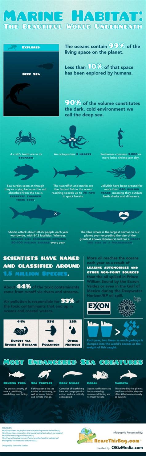 Visualizing Our Water World 20 Infographics About The Oceans