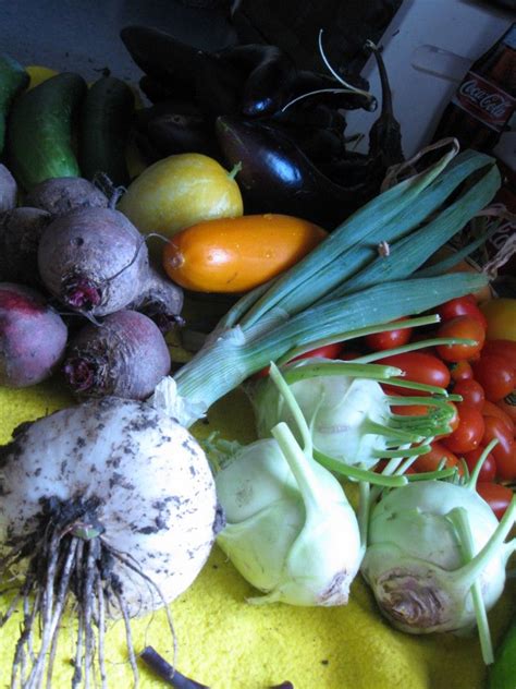 We did not find results for: Zucchini, Squash, and Eggplant, Oh My! | Squash eggplant ...