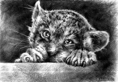 How to draw a jaguar animal jaguar cat step by step drawing guide by michaely. drawing | Art