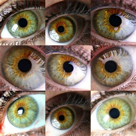 Оттенки Зеленого Цвета Глаз Названия И Фото Mixyfotos ru