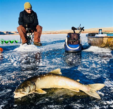3 Utah Waters With Both Scenery And Great Fishing During Winter Months