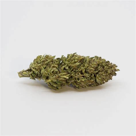 Morana – MorningWeed