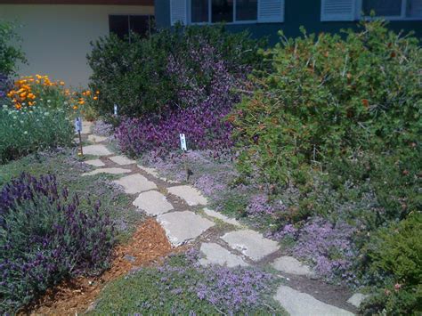 Genos Garden Design And Coaching Hardscaping Your Lawn Free Garden