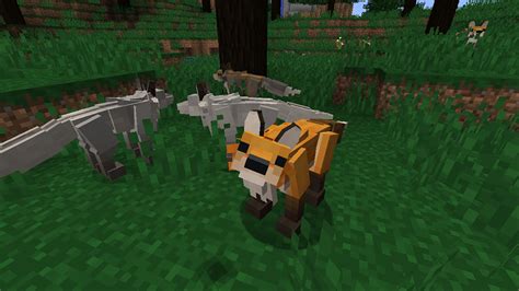This includes foods that will activate love mode. Better Animals Plus Mod 1.14.4/1.12.2 - Breathing new life ...