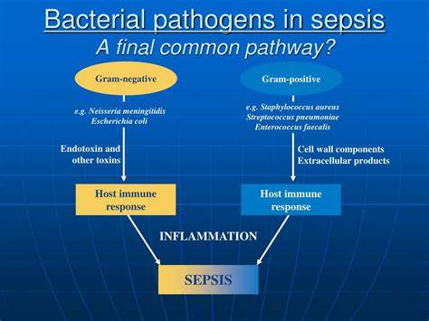 Read about symptoms, treatment and risk factors for sepsis. PPT - SEPSIS PowerPoint Presentation, free download - ID ...