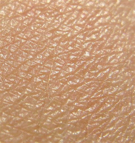 Skin Texture By Rosedecastille On Deviantart