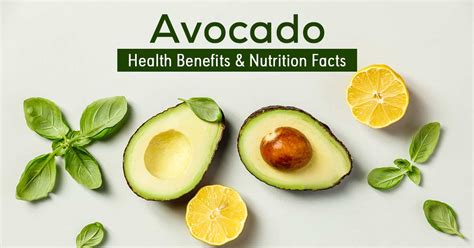 Avocado Benefits Nutrition Facts And Side Effects