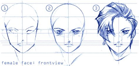 Tutorial How To Draw Facesfrontview