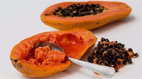 Lifestyle Medicinal Benefits Of Papaya Seeds For Liver And Kidney