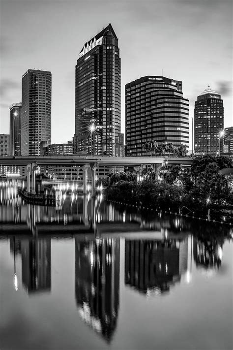 Tampa Bay Florida Skyline At Dawn Black And White Photograph By