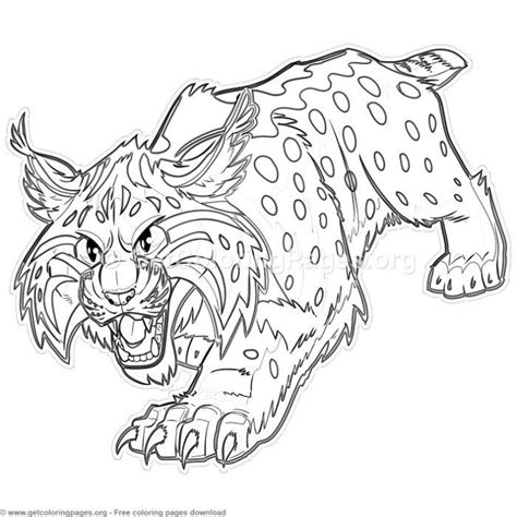 Bobcat Coloring Pages For Kids