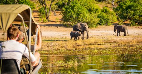 Safari To Botswana The Ultimate Guide Wild Safari Guide