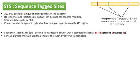 sequence tagged sites sts mapping expressed sequence tags [est] genome mapping youtube