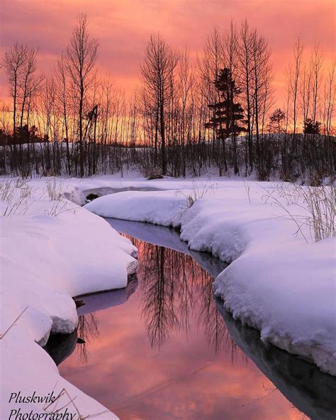 🇺🇸 Winter Sunset Northern Minnesota By Paul Pluskwik