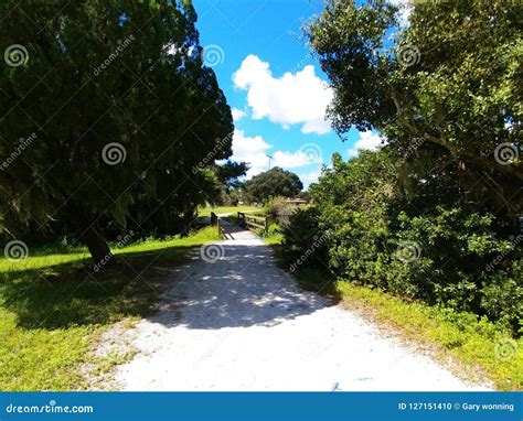 Twin Lakes Park In Sarasota Florida Under A Bright Sunny Blue Sky With