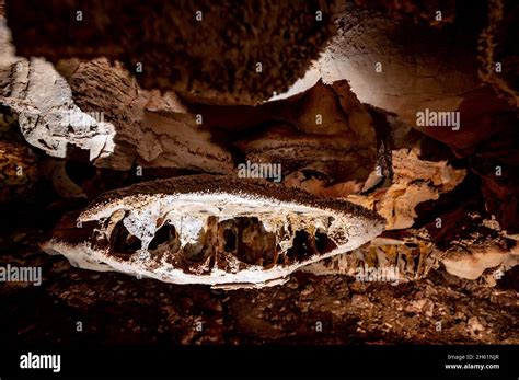 Boxwork Formation Inside Wind Cave National Park In The Black Hills Of