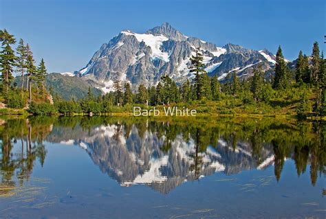 Mt Shuksan Picture Lake North Cascades National Park By Barb
