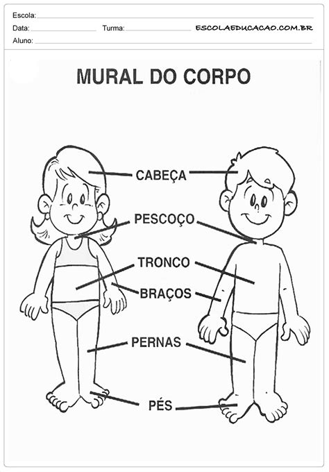 Atividades Sons Do Corpo Educação Infantil