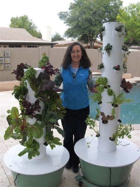 25 Best The Future Of Gardening Aeroponics Images On