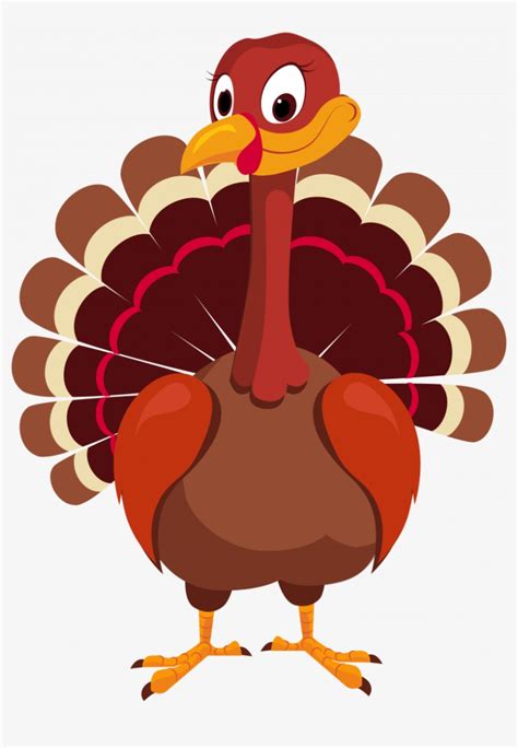 Turkey Thanksgiving Vector Png 817x1105 Png Download Pngkit