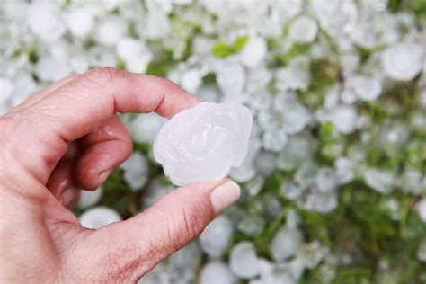 Discover The Largest Hailstone Ever Bigger Than A Softball Az Animals