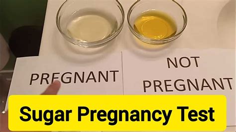 Home Pregnancy Test Images Telegraph