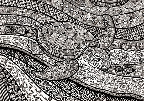 Zentangle Turtle By Ambercamiart On Deviantart