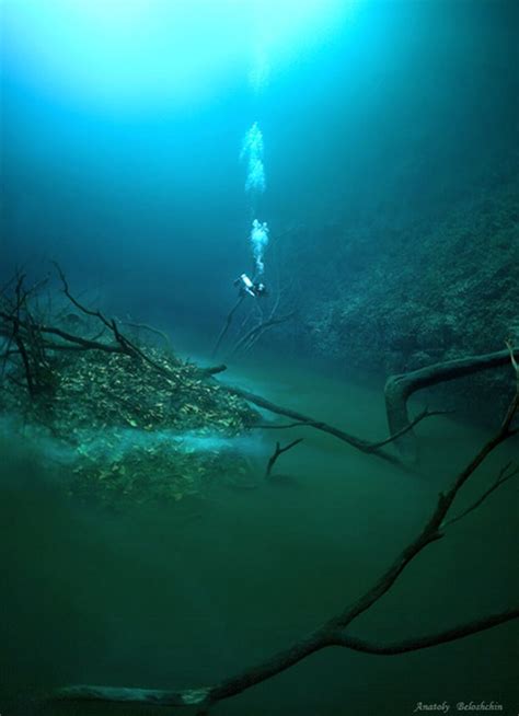 Pix Guru Underwater River Flowing Under The Ocean In Mexico